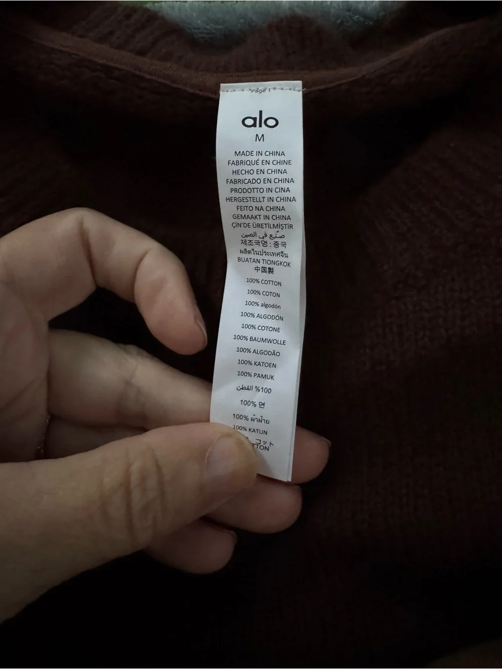 ULTRA RARE POSSIBLY UNRELEASED COLOR ALO New Class Cashmere Crewneck Sweater – B